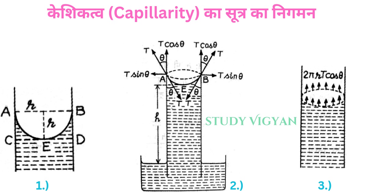 rise of Liquid in a capillary Tube in hindi |  केशनली में द्रव के उन्नयन के सूत्र का निगमन