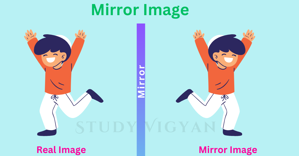 Figure mirror Image reasoning question
