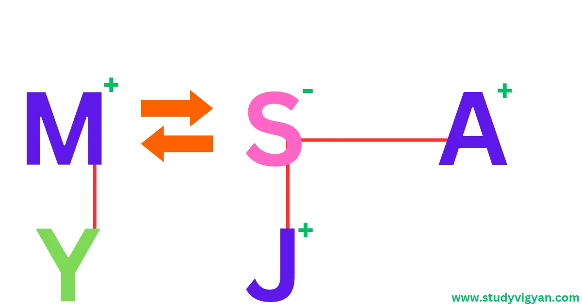 blood relation questions